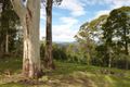 Property photo of 259 Stoodley Road Stoodley TAS 7306