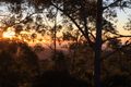 Property photo of 69 Contour Road Tamborine Mountain QLD 4272
