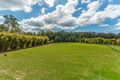 Property photo of 10 Figbird Court Lake Macdonald QLD 4563