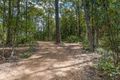 Property photo of 10 Figbird Court Lake Macdonald QLD 4563