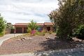 Property photo of 19 Beazley Crescent Calwell ACT 2905