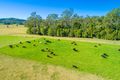 Property photo of 145 Old Kempsey Road Gum Scrub NSW 2441