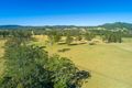 Property photo of 145 Old Kempsey Road Gum Scrub NSW 2441