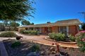 Property photo of 9 Hall Crescent Loxton SA 5333
