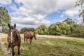 Property photo of 8251 Channel Highway Cradoc TAS 7109