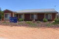 Property photo of 20 Silver Birch Drive Murray Bridge SA 5253