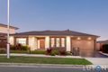 Property photo of 34 Mollie Dyer Street Bonner ACT 2914