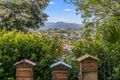 Property photo of 29 Durigan Place Banora Point NSW 2486