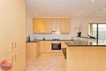Property photo of 20 Shearwater Drive Mawson Lakes SA 5095