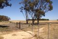 Property photo of 7255 Mallee Highway Parrakie SA 5301