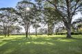 Property photo of 447 Lovedale Road Lovedale NSW 2325