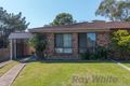 Property photo of 60 Casuarina Circuit Warabrook NSW 2304