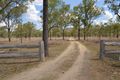 Property photo of 323 E Williams Road Kabra QLD 4702