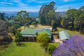 Property photo of 323 Humpty Back Road McLeans Ridges NSW 2480