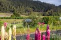 Property photo of 1172 Pine Road Riana TAS 7316