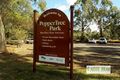 Property photo of 29 Margaret Drive Bacchus Marsh VIC 3340
