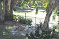Property photo of 15 Drumfish Drive Currumbin Waters QLD 4223