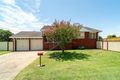 Property photo of 17 Frederick Street Singleton NSW 2330