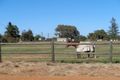 Property photo of 11 Wellington Road Woorree WA 6530