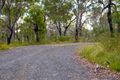Property photo of 435 Bushells Ridge Road Bushells Ridge NSW 2259