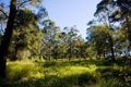 Property photo of 38 Valleyview Drive Mount Nathan QLD 4211