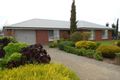 Property photo of 51 Venn Avenue Bordertown SA 5268