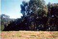 Property photo of 7 The Hermitage Tweed Heads South NSW 2486