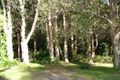 Property photo of 56 Bangalow Road Byron Bay NSW 2481