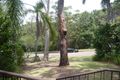 Property photo of 16 Mahogany Drive New Lambton NSW 2305