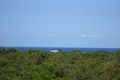 Property photo of 55 Wistari Terrace Agnes Water QLD 4677