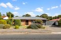 Property photo of 29 Elizabeth Avenue Nuriootpa SA 5355
