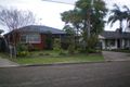 Property photo of 20 Young Street Mount Pritchard NSW 2170