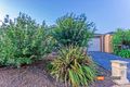 Property photo of 109 Swamphen Drive Williams Landing VIC 3027