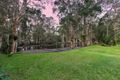 Property photo of 7 Thornton Drive Thornlands QLD 4164