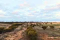 Property photo of LOT 8101 Goldfields Road Kellerberrin WA 6410