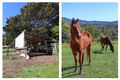 Property photo of 69/265 Martin Road Larnook NSW 2480