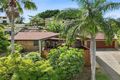 Property photo of 17 Rhapis Court Buderim QLD 4556