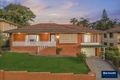 Property photo of 43 Marieander Street Tarragindi QLD 4121