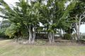 Property photo of 34 Chidlow Street Farleigh QLD 4741