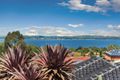 Property photo of 44 Cribb Street Berkeley NSW 2506