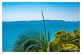 Property photo of 8 Golding Street Yeppoon QLD 4703