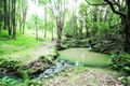 Property photo of 5 Wongaree Way Currumbin Valley QLD 4223