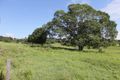 Property photo of 511 Glamorgan Vale Road Glamorgan Vale QLD 4306