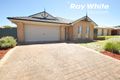 Property photo of 5 Hazelwood Place Blakeview SA 5114