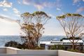 Property photo of 15 Flame Tree Grove Mornington VIC 3931
