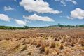 Property photo of 1035 Dairy Flat Road Tooborac VIC 3522