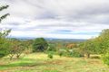 Property photo of 30 McCarthy Road Olinda VIC 3788