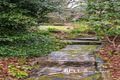 Property photo of 27 The Crescent Sassafras VIC 3787