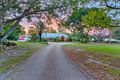 Property photo of 53 Birdsville Street Greenbank QLD 4124