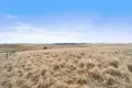 Property photo of LOT 2 Monaro Highway Bombala NSW 2632
